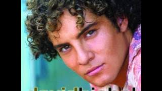 David Bisbal - Quiero perderme en tu cuerpo.wmv