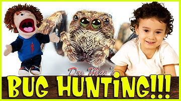 Learning about BUGS with Toddler and Silly Puppets. Learning kid videos