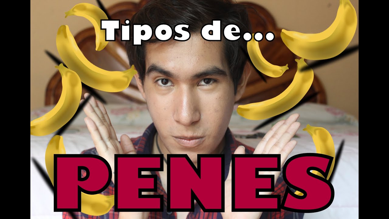 Tipos De Vergas Penes Youtube