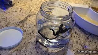 Home Leech Therapy!!!(Hirudo Therapy)...  Introduction and Overview