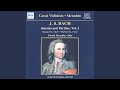 Miniature de la vidéo de la chanson Unaccompanied Partita No. 3 In E Major, Bwv 1006: Ii. Loure