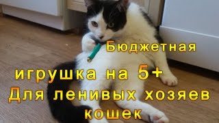 Лазерная указка и кот - Игрушка для ленивых кошатников на 5+, Отзыв и игры Лазерная указка и кот - Игрушка для ленивых кошатников на 5+, Отзыв и игры