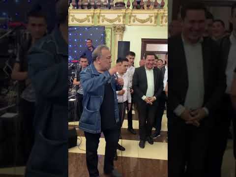 Video: Oq Va Jigarrang Ayiqning Vazni Qancha