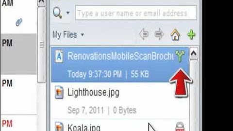 Lotus Notes 8 5 3 social collaboration with IBM Connections Demo