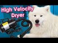 Samoyed High Velocity Dryer Tutorial