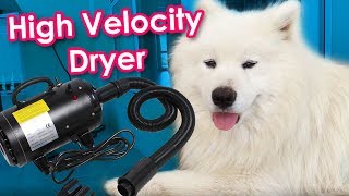 Samoyed High Velocity Dryer Tutorial by Samoyed Life 46,170 views 5 years ago 6 minutes, 5 seconds