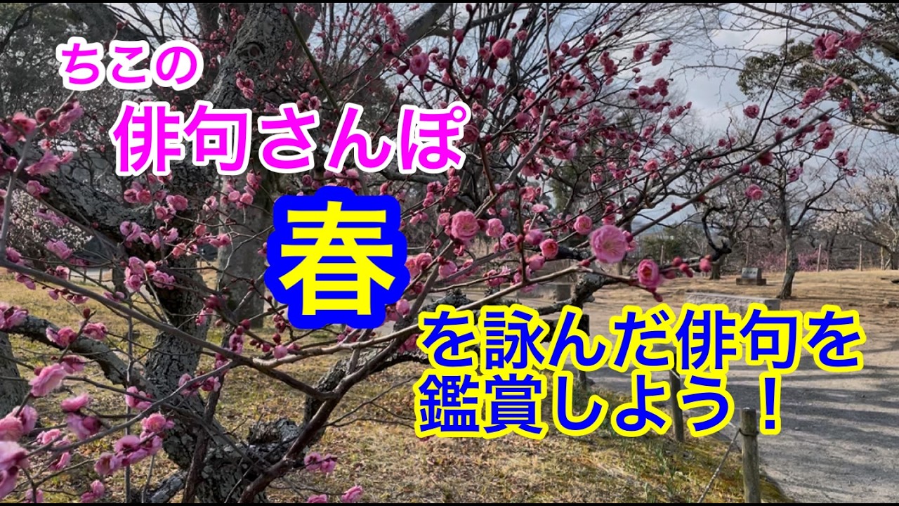 【俳句さんぽ・第231回】季語「春」を詠んだ俳句を鑑賞しよう！