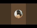 #odlysatisfying #asmr #relaxing #video #massage #therapy #satisfying #live #stream #ingrownhair