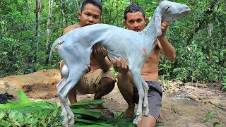 Amazing Cooking Goat Recipe in Forest to Survival