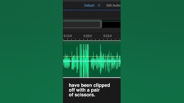 The Magic of 32 Bit Float Audio & Rode NT-1 5th Gen