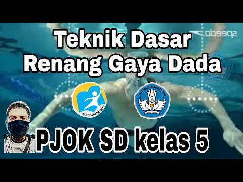 RENANG GAYA DADA PART 1 [ PJOK SD Kelas 5 ]