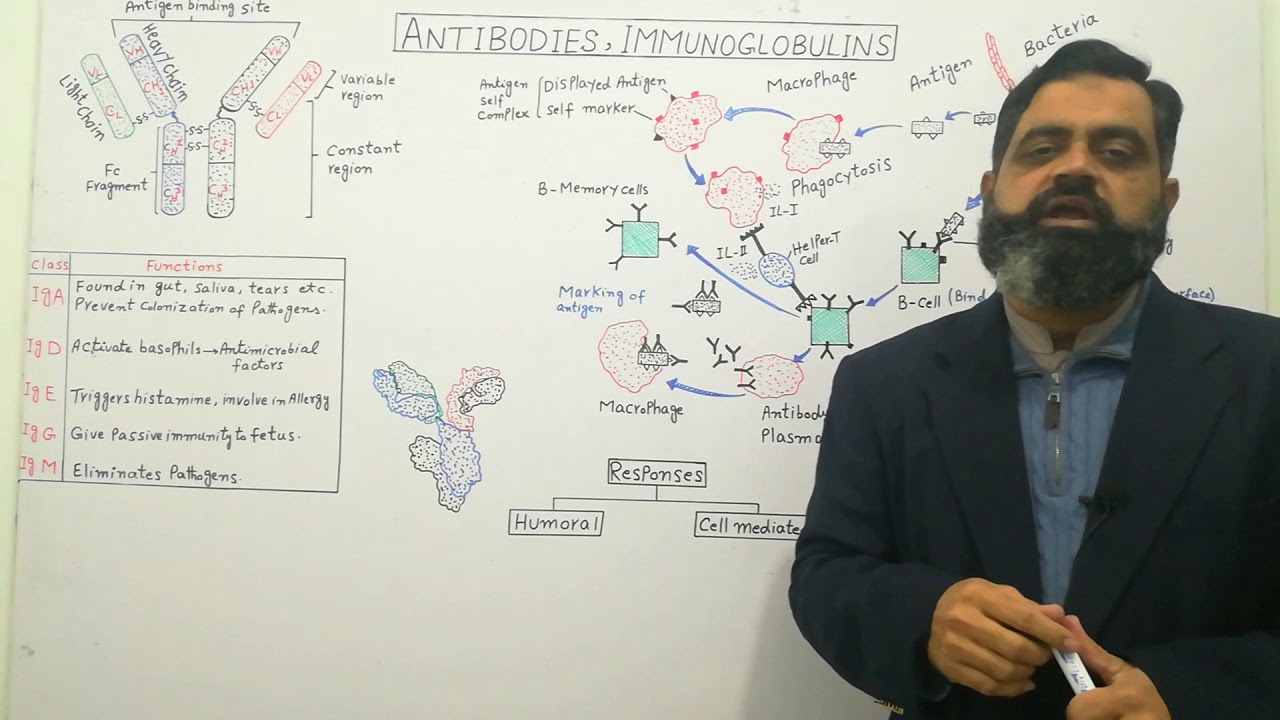 Immunity Urdu/Hindi medium prof.masoodfuzail Immunoglobulin Types