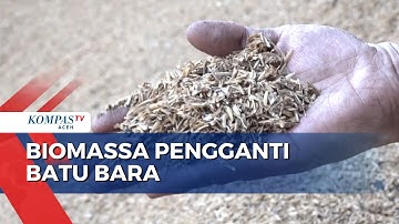 PLTU Nagan Raya Lakukan Co-Firing Biomassa Pengganti Batu Bara