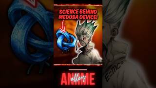 Science Behind Petrification Explained