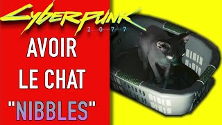 Cyberpunk 2077: Comment Ramener le CHAT 🐈 Secret 'Nibbles' dans l'appartement de V - Astuce: Guide by HumourGer 1,955 views 3 years ago 2 minutes, 27 seconds