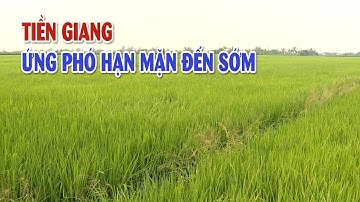 Ngành Nông nghiệp Tiền Giang ứng phó quyết liệt với hạn mặn đến sớm | VTV CẦN THƠ