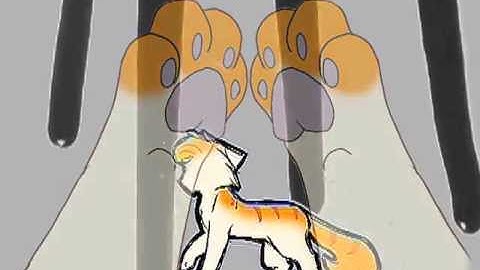 ~~~Swiftpaw In my remains MAP part 18 & 19~~~