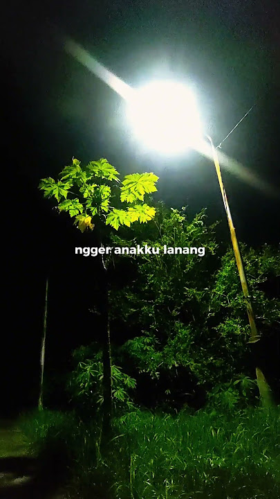 Download lagu anak lanang #capcut #fypshorts #cover