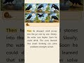 Learn English with Story for Beginners | The Clever Crow