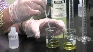 Buffers and a pH Indicator