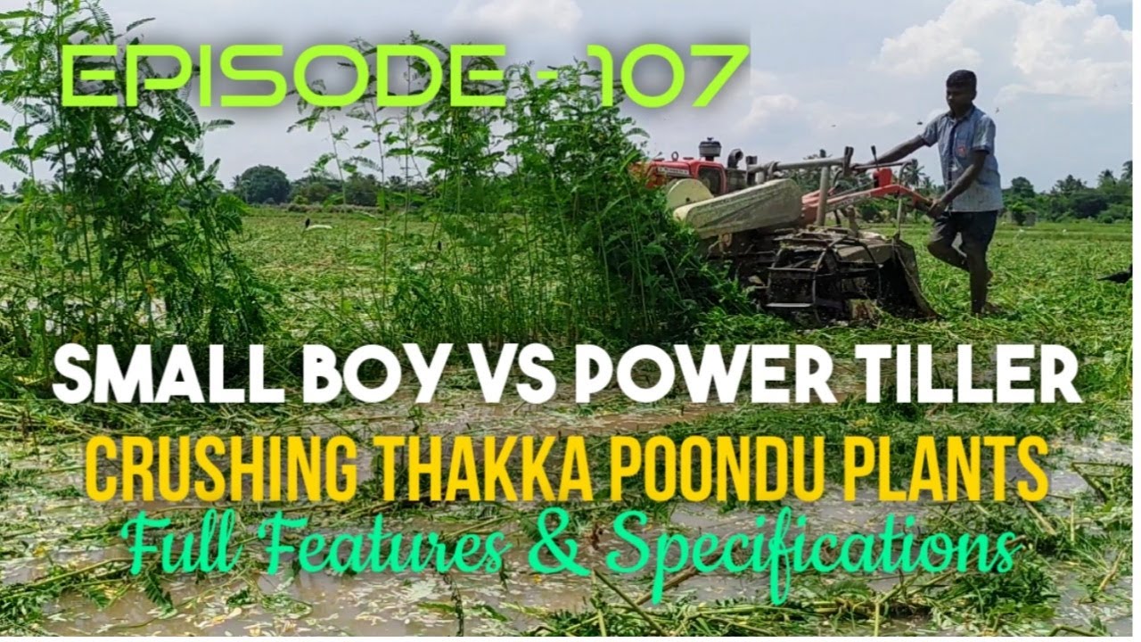 Small Boy Vs VST Shakti Power Tiller Crushing Thakka Poondu Plants I Full Features & Specification
