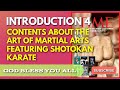 Intro 4 - Martial Art (Shotokan)