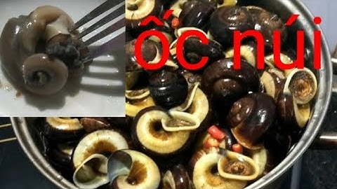 ỐC NÚI [ ỐC THUỐC ] # LẦN ĐẦU ĂN ỐC NÚI .