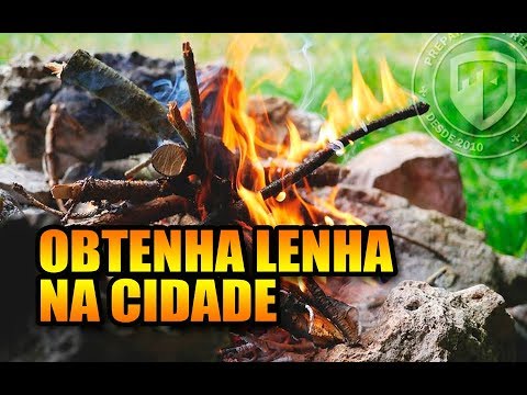 COMO ACHAR LENHA NA CIDADE – SOBREVIVENCIA URBANA