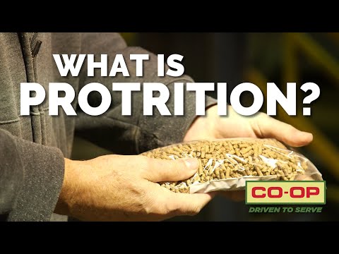 Co-op Minute: What is ProTrition