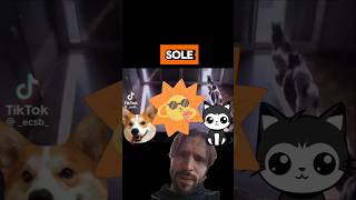 i tuoi prendono il sole?🌞👇 SEGUIMI PER ALTRI VIDEO #sole #animali