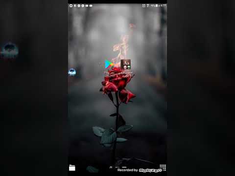 شرح تطبيق القاموس الذهبي انجليزى