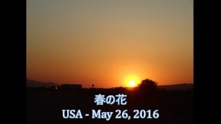 ハンサム Live 春の花 Haru No Hana Lyrics And English Translation Cerita Juwa