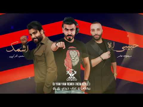 ريم اشمك حبيبي محمود التركي وسيف عامر دي جي ياو ياو