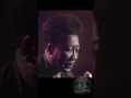 Muddy Waters - The Father of Modern Rock (Live in the 70s) | Sizzling Blues Rock