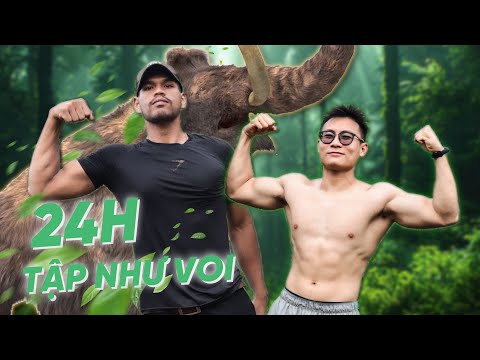 24h Trải nghiệm cuộc sống của Voi Đắk Lắk (Ăn, Tập, Lên Rẫy) | THẾ DÂN