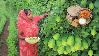 Kantola Ki Sabji | Village Lunch Cooking | Village Life In Gujarat, India