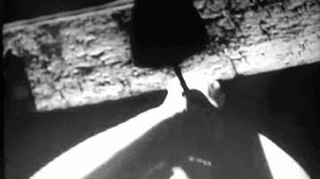 Zombie Walk - SUNDOG