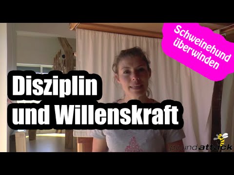 Etaplieren Etaplieren