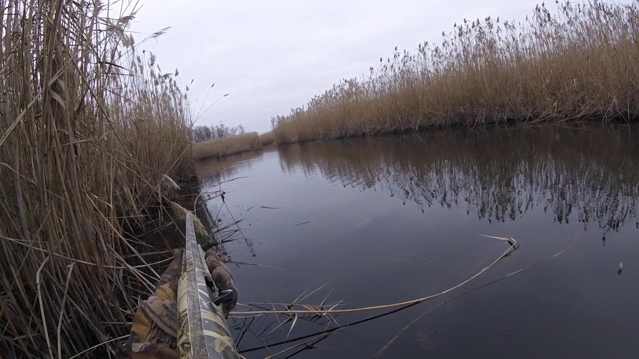 ⁣полювання на кабана охота на кабана boar hunting 2017 Wildschweinjagd