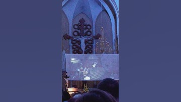 Концерт органной и гитарной музыки в Римско-католическом Кафедральном соборе Непорочного Зачатия