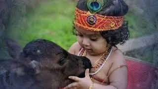 Download O Kanha Ab To Murli Ki Madhur Suna Do Taan Song Video MP3 O Kanha Ab To Murli Ki Madhur Suna Do Taan Song