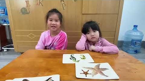 Tiếng Anh Giao Tiếp Trẻ Em Tại Phan Thiết: Mia and Lina practice talking about Sea Animals