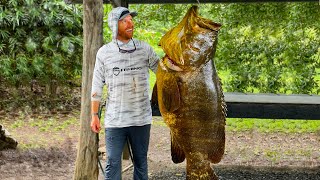 Catch & Cook: HUGE GOLIATH GROUPER (Offshore Kayak Fishing) - Part 1