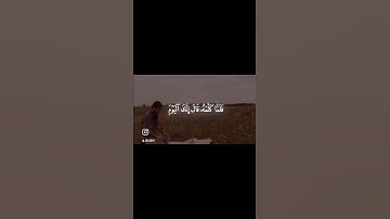 القارئ : فايح الحارثي رحمه الله