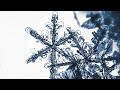 The beauty of snowflakes - Snöflingornas skönhet