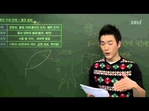 EBS[과학탐구]생명과학1- 식물의 구성단계는?