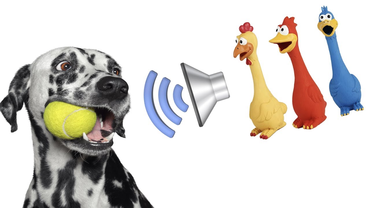 Dog Squeaky Toy Sounds That Attract