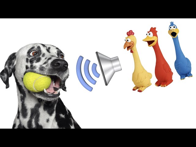 Dog Squeaky Toy Sounds That Attract