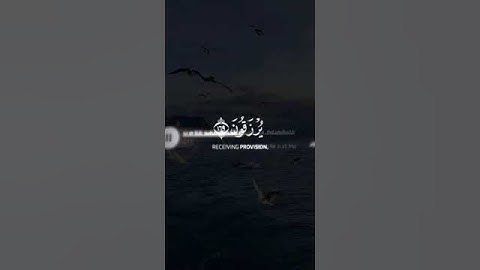 ولا تحسبن الذين قتلوا فى سبيل الله أمواتا سورة آل عمران القارئ شريف مصطفى