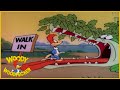 Woody Woodpecker | Everglade Raid | Full Episodes